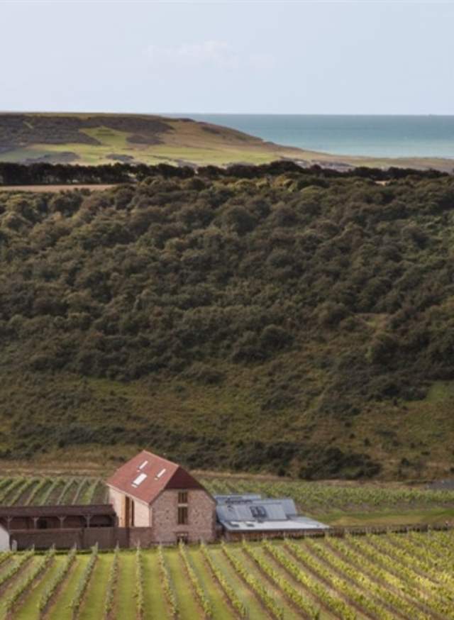 Vineyards of East Sussex: Henners, Artelium & Rathfinny, a Wine Lover’s Tour