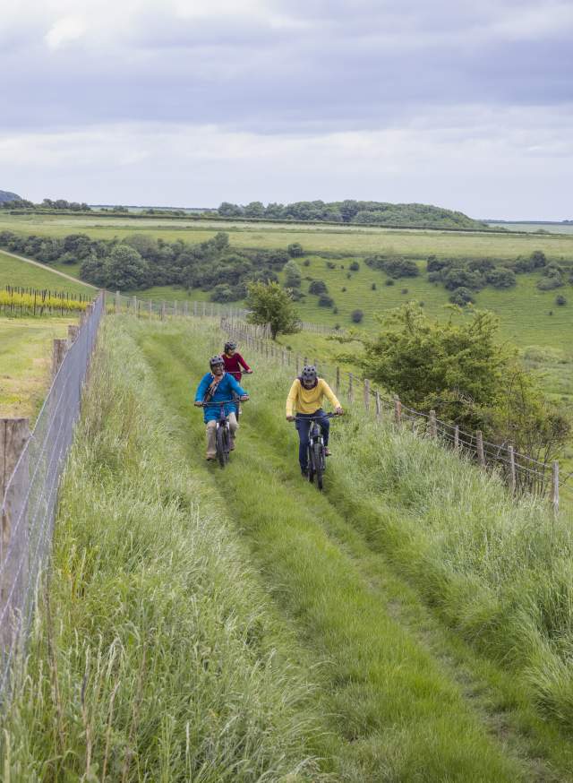 Three cyclists on a grassy track on the South Downs, next to a vineyard in Amberley, Sussex