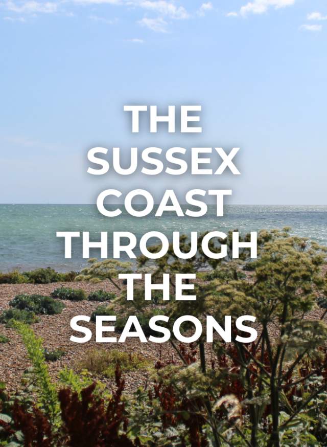 The Sussex Coast through the seasons