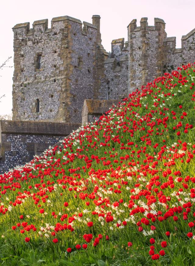 Arundel Castle Gardens wins the 2025 Historic Houses Garden of the Year Award