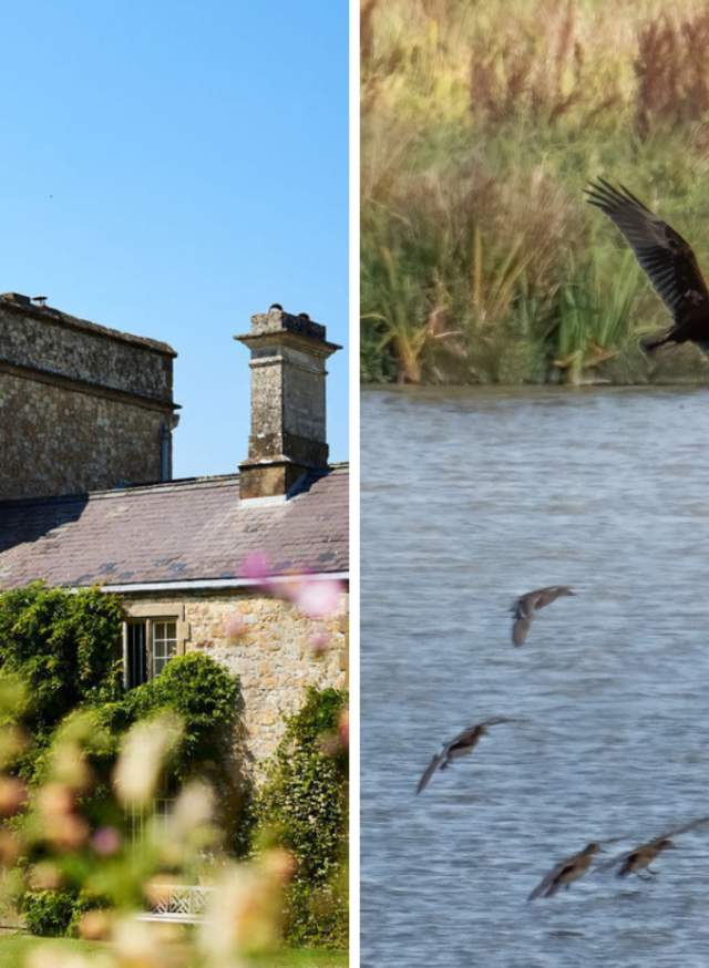 Parham House and Pulborough Brooks