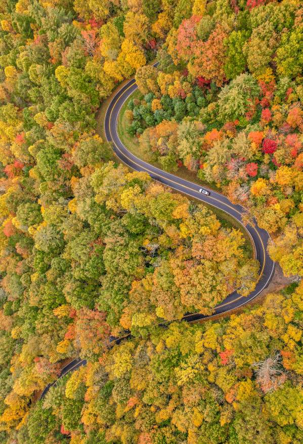 Highlands Fall Road
