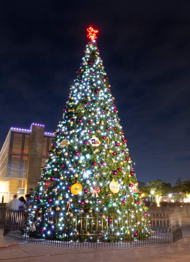 Tree Lighting Ceremony