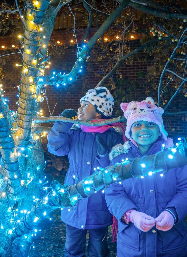 Two girls looking at bright lights on a tree
