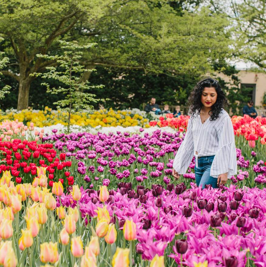 Spring at Longwood Gardens, Women walking through field of tulips