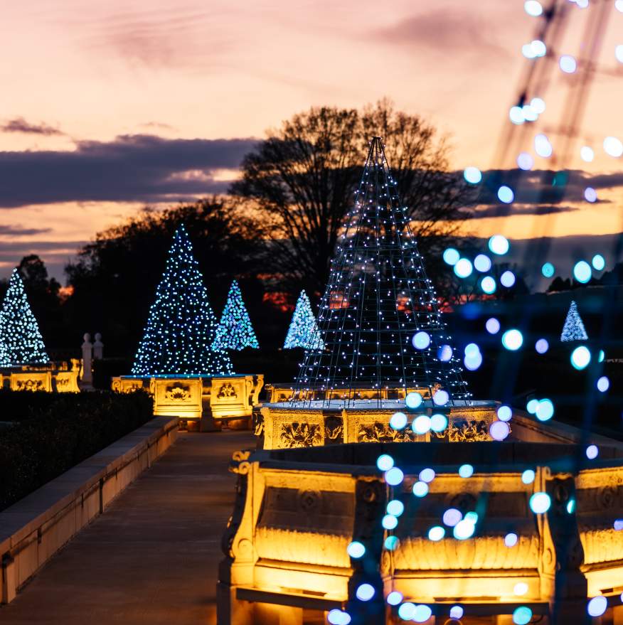 Fountains at LW Christmas