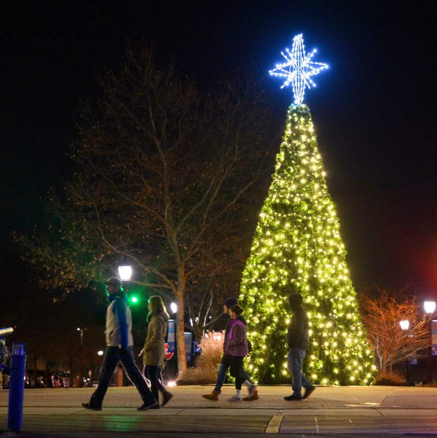 Large Christmas tree lit in bright white lights with a large star on top