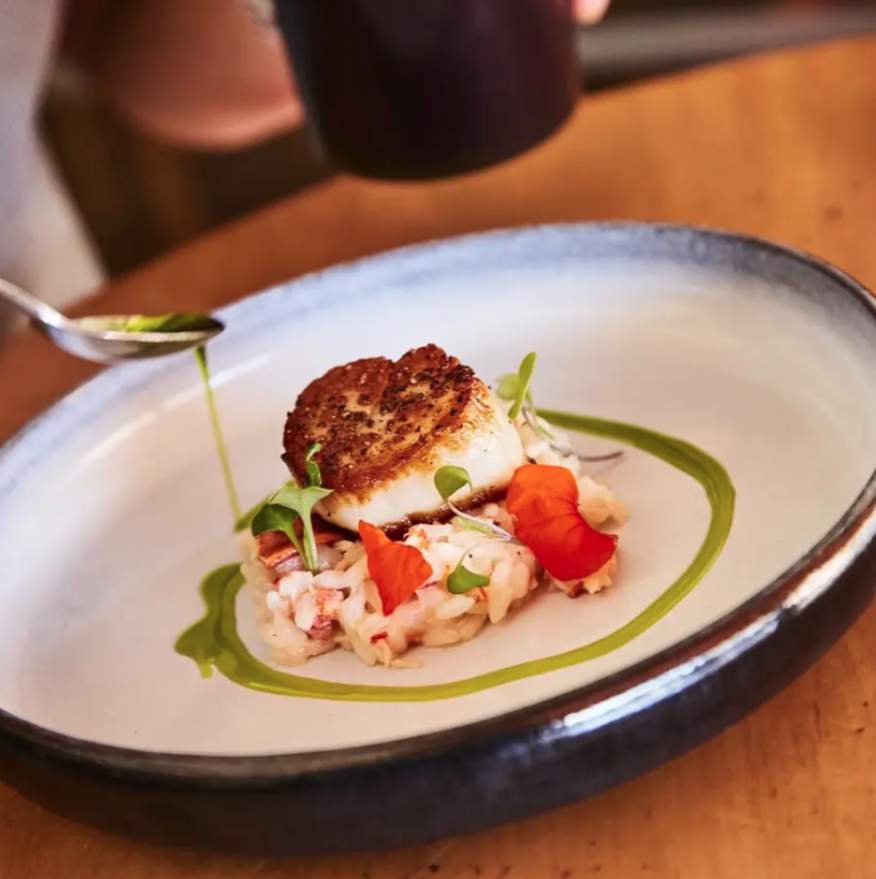 Scallop Dish Cafe Gelato