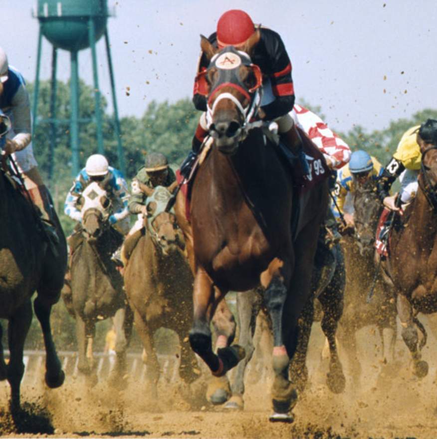 Delaware Park Casino