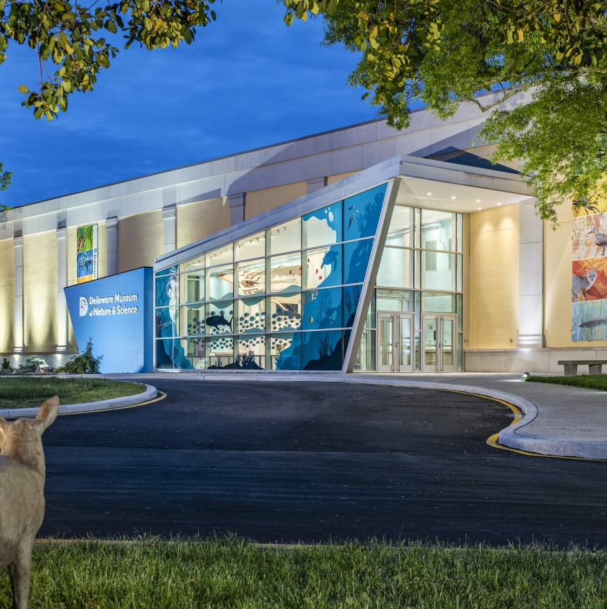 Delaware Museum of Nature and Science