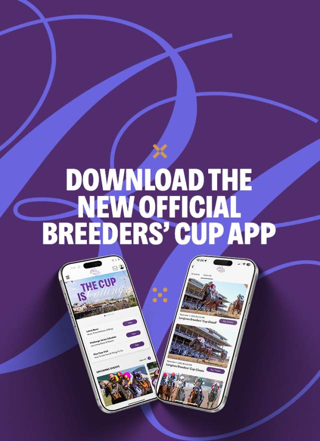 Mobile App