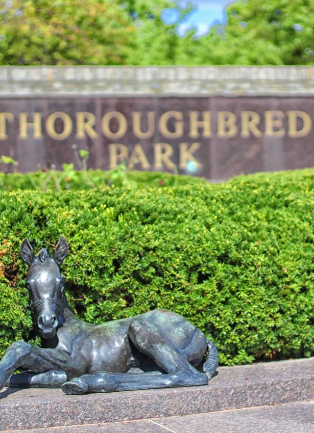 Thoroughbred Park