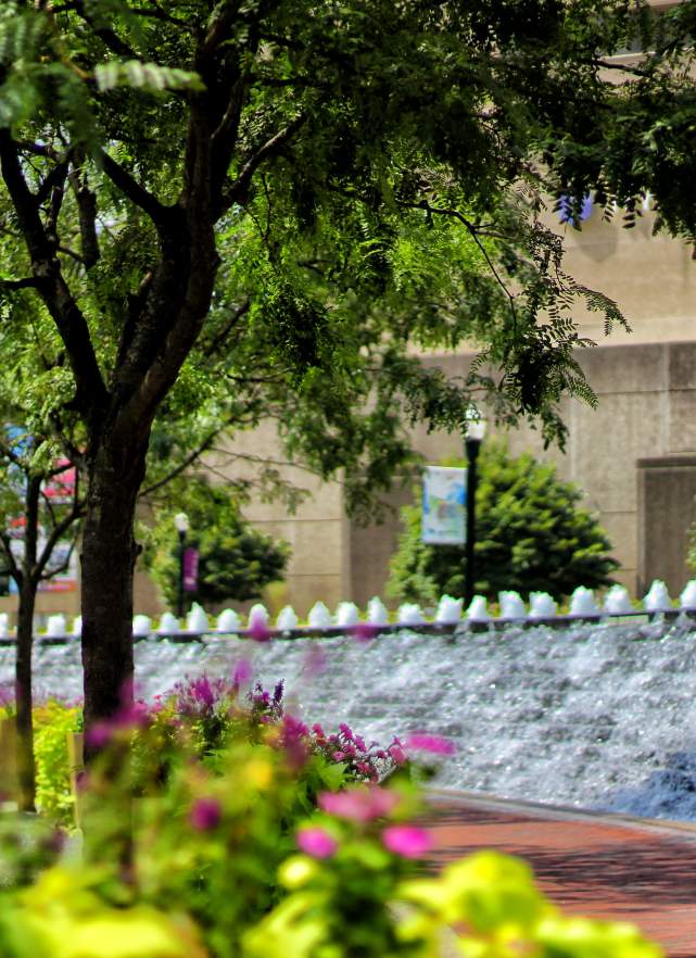 Triangle Park