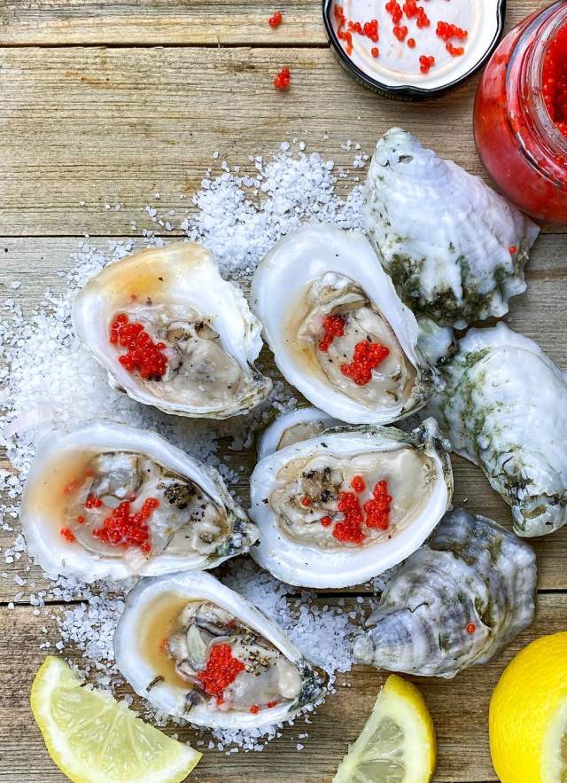 Oysters on a picnic table