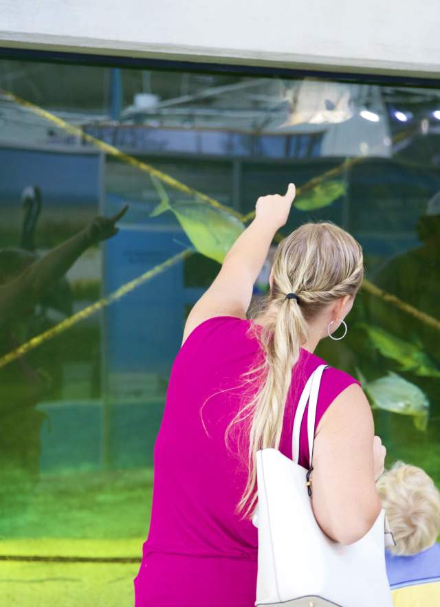 woman and child pointing to a large aquarium