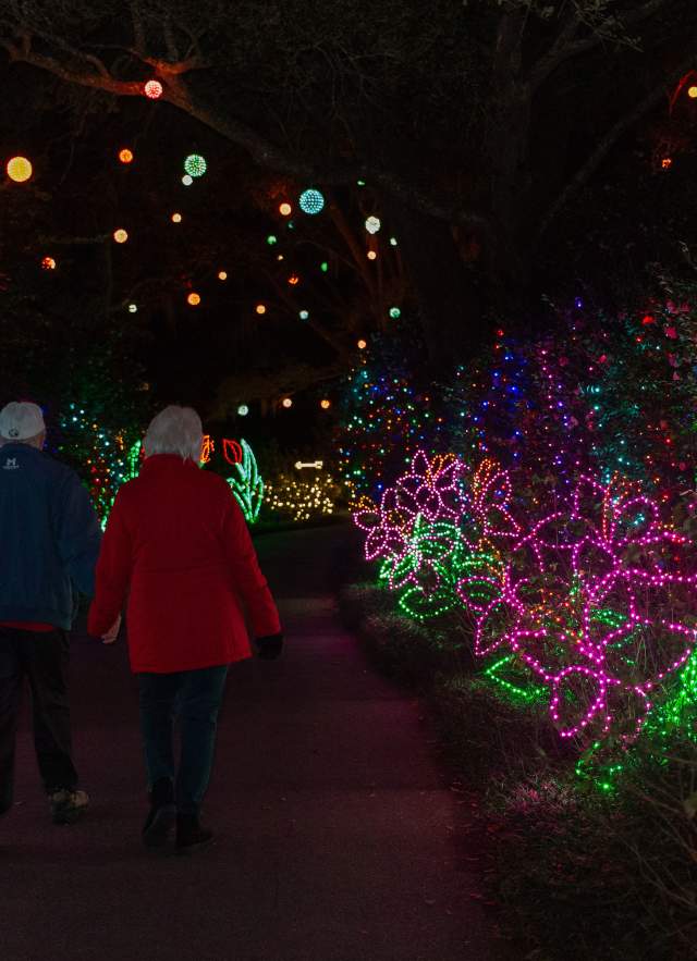 Elderly couple holding hands and walking through Bellingrath Gardens & Home's Magic Christmas in Lights display
