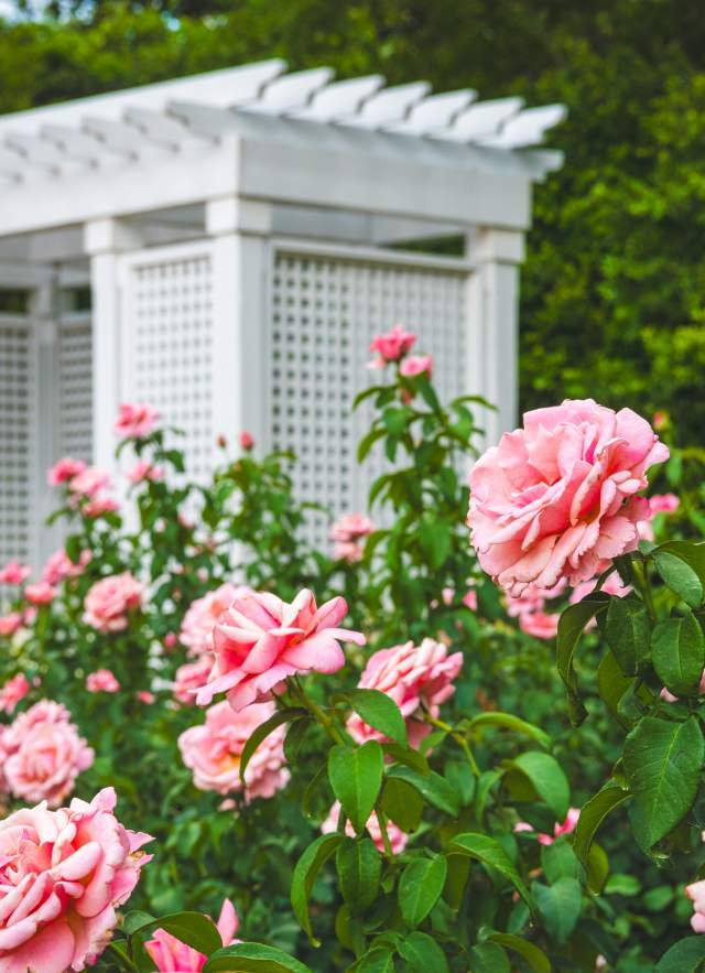 Spring into Fun: March Events You Won't Want to Miss in Mobile