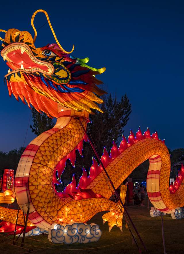 Large light up dragon