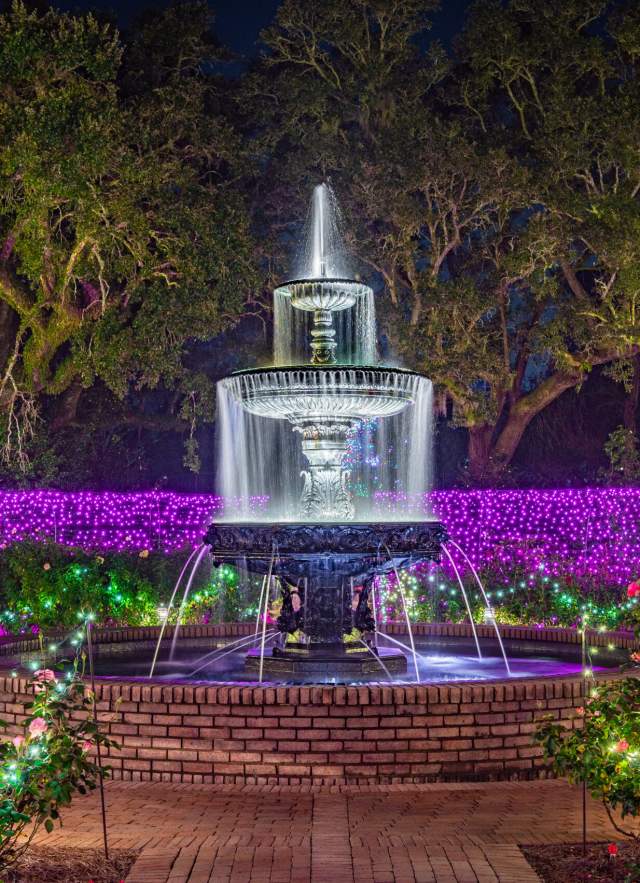 An illuminated water fountain at nights surrounded by purple lights and Christmas decorations