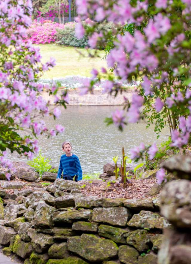 Spring into Fun: March Events You Won't Want to Miss in Mobile