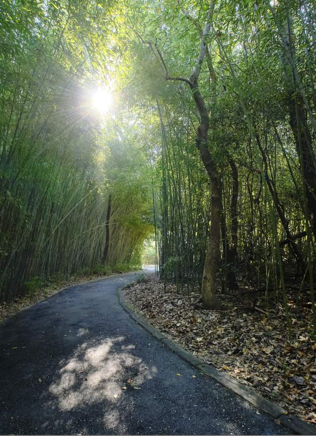 Nature trail in Mobile
