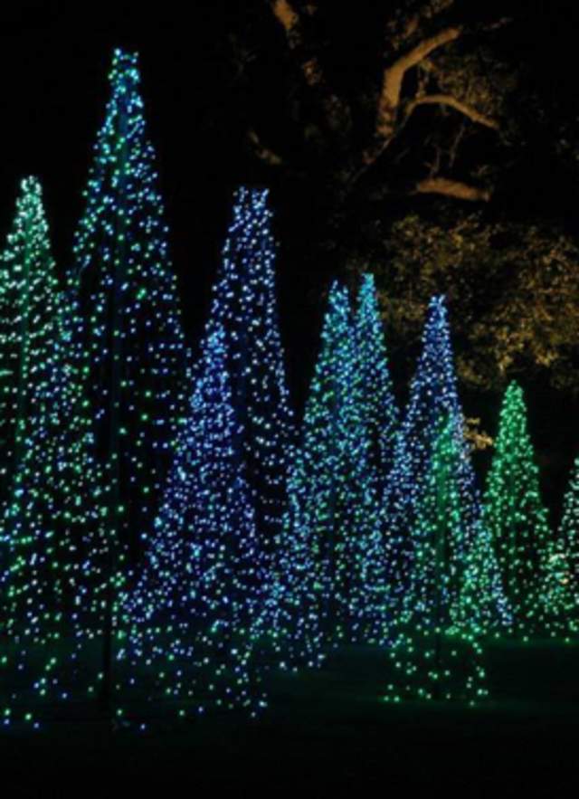 magic-christmas-in-lights