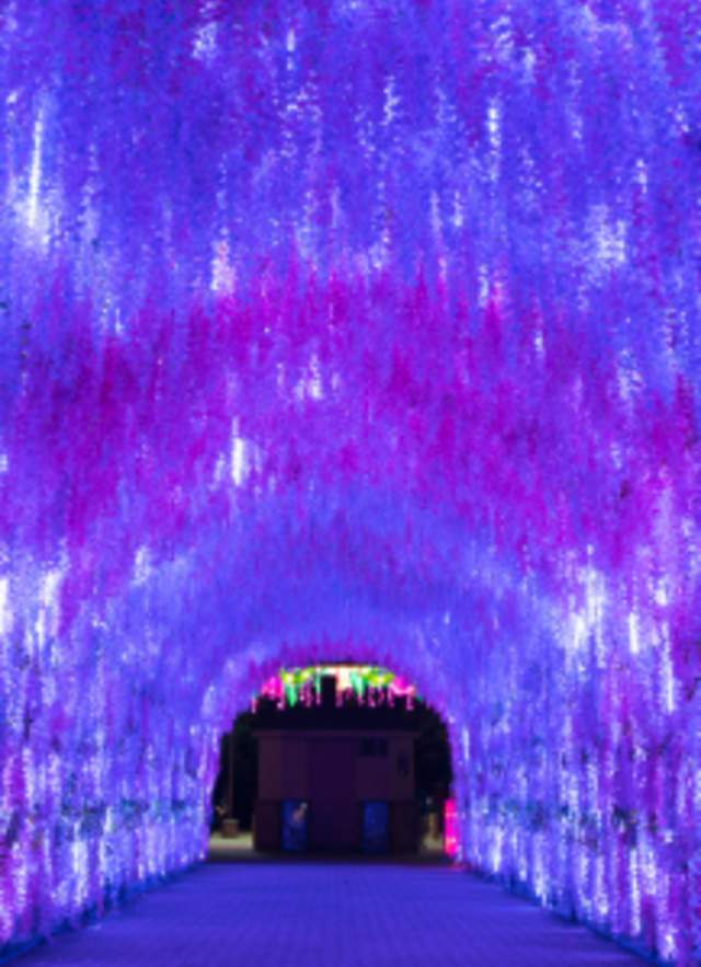Know Before You Go: Gulf Coast Chinese Lantern Festival at Bellingrath Gardens & Home