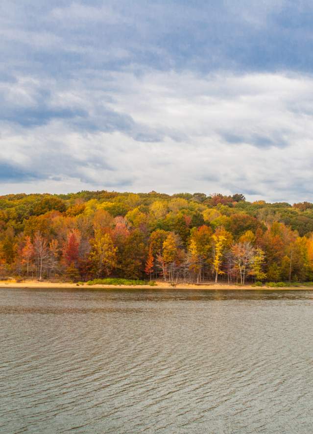 View of the water rippling at Lake Monroe surrounded by fall foliage In Bloomington, IN