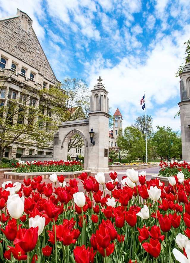 Sample Gates during spring with tulips
