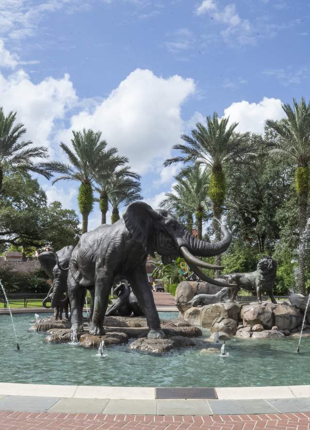 Elephant Fountain at Audubon Zoo