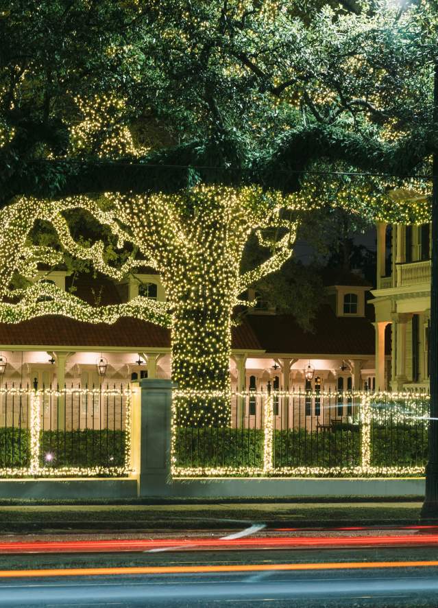 Holiday Lights on St. Charles