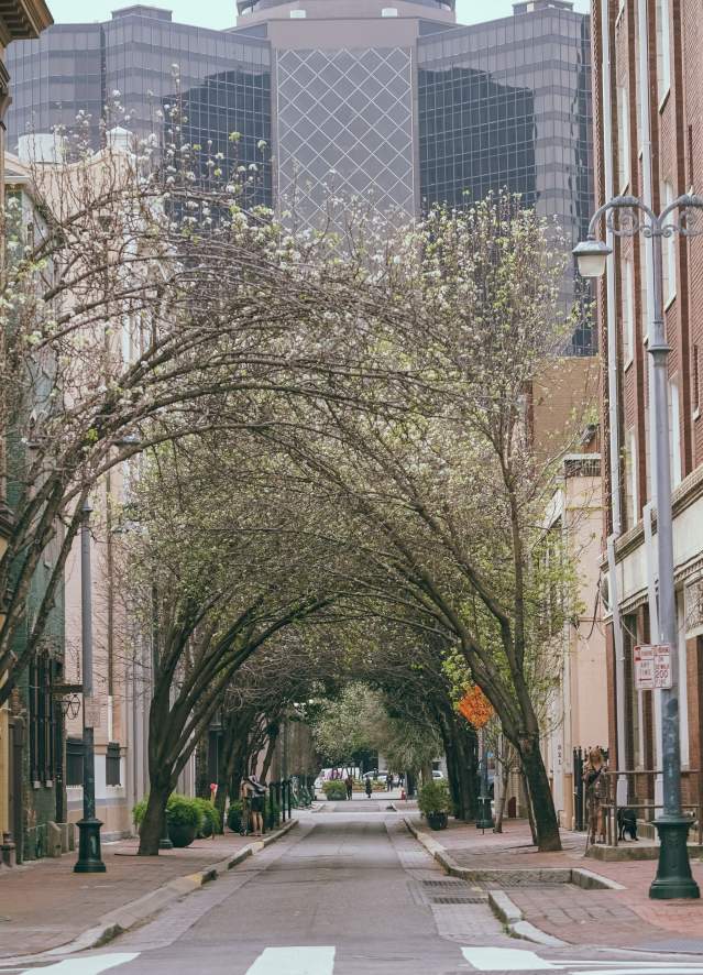 Lafayette Street & Baronne Street - Downtown - CBD - Springtime