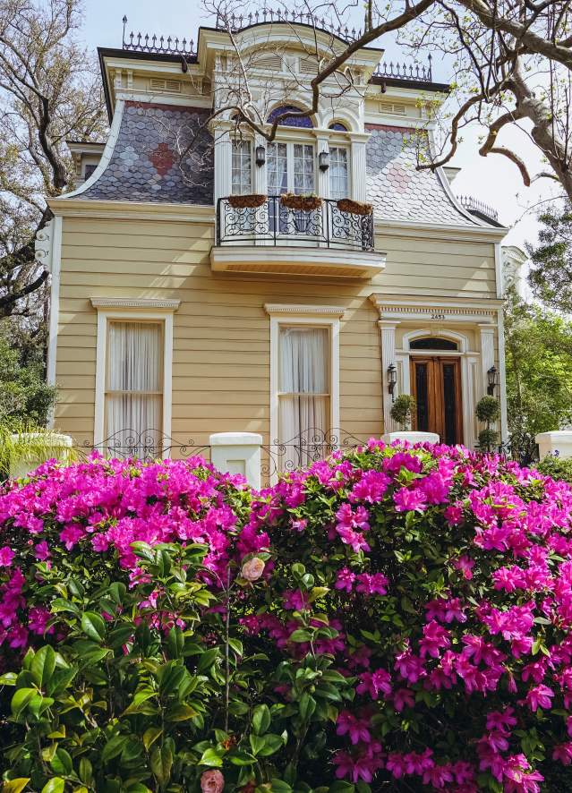 Esplanade Ave & North Dorgenois - Springtime Architecture - Azaleas