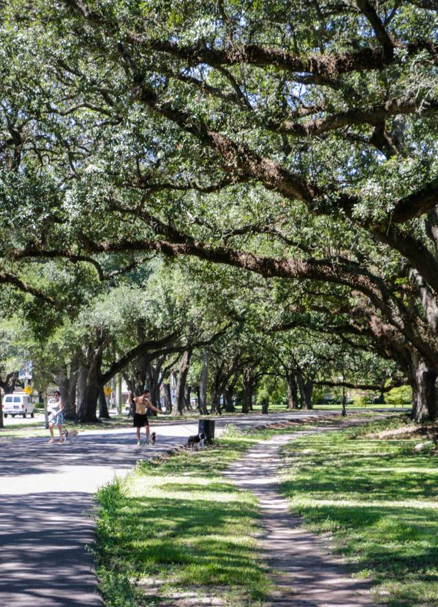 Audubon Park