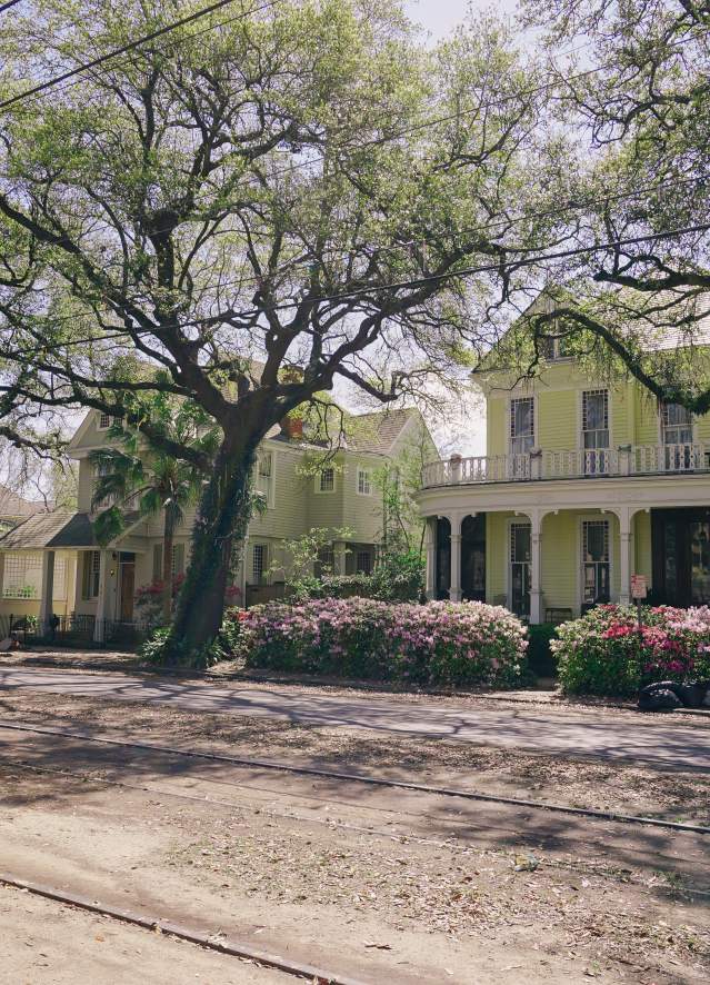 Streetcar - Uptown Spring Color - Azaleas - St. Charles Avenue