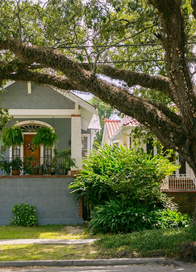 Carrollton Avenue Street Scene