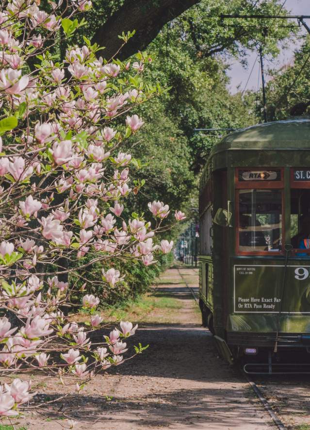 St. Charles Streetcar