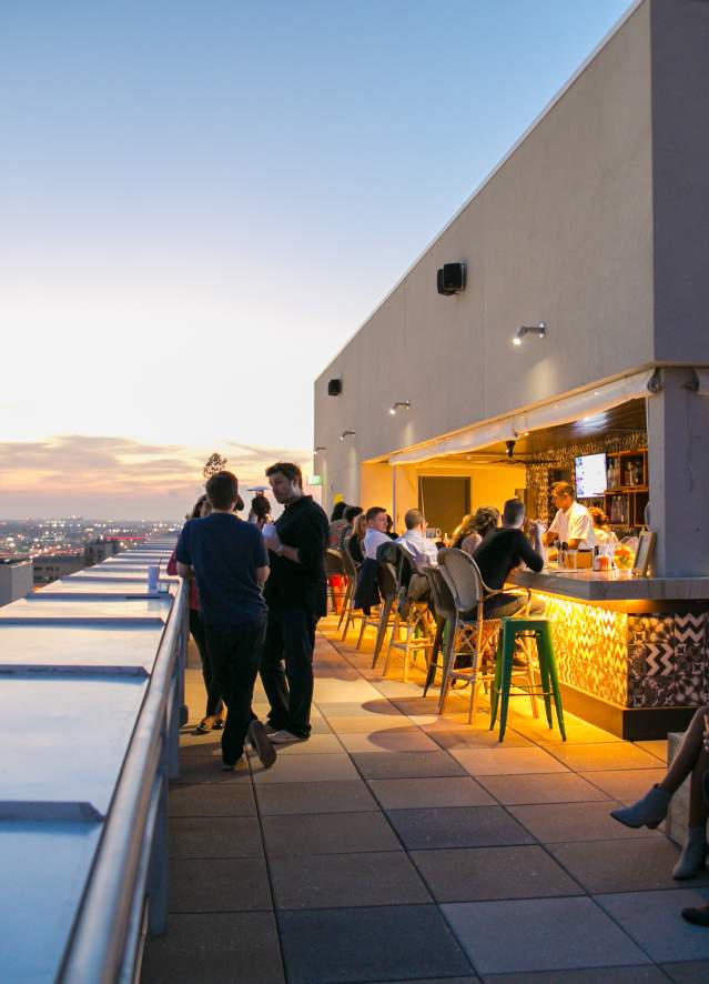 Monkey Board- Rooftop Bar