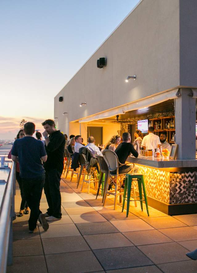 Monkey Board- Rooftop Bar