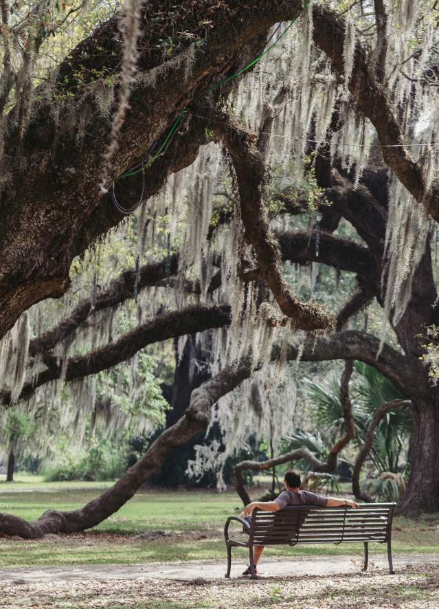 City Park