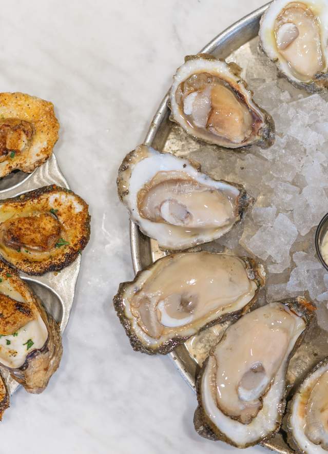 Oysters