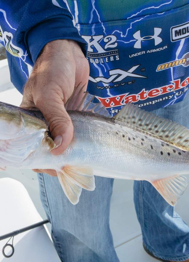 Bourgeois Fishing Charters - Catch and Cook Fishing Trip with Dickie Brennan Restaurant Group