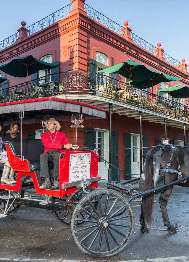 Horse and Carriage Tour