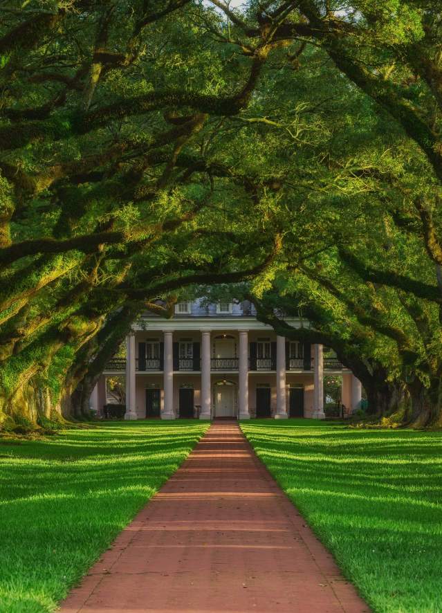 Oak Alley
