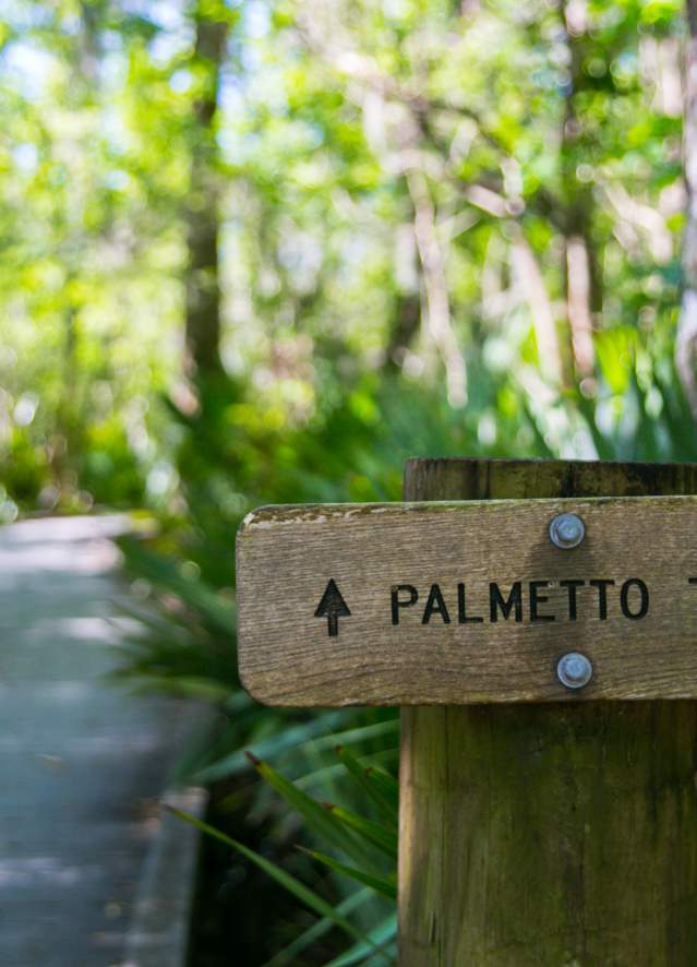 Bayou Sauvage - Palmetto Hiking Trail