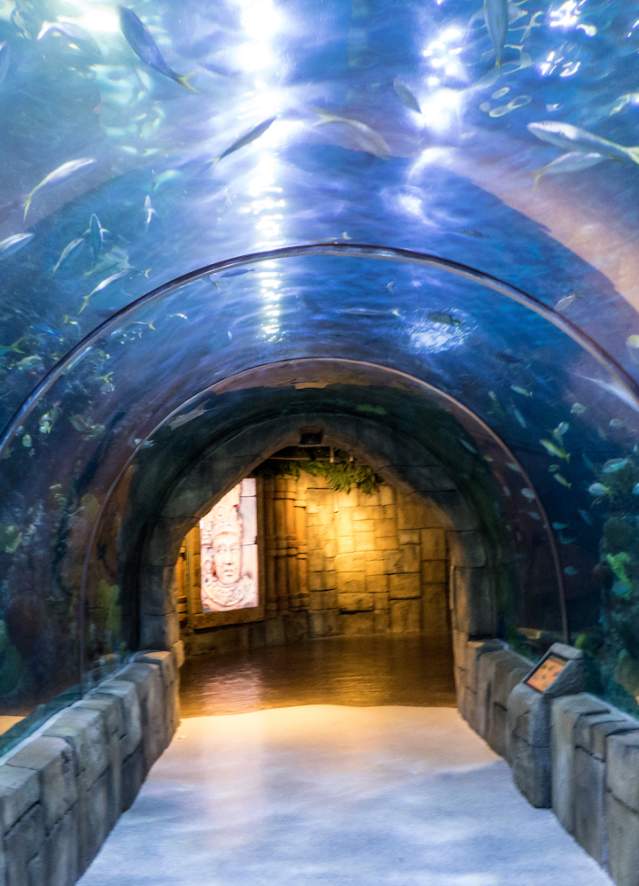 Audubon Aquarium of the Americas