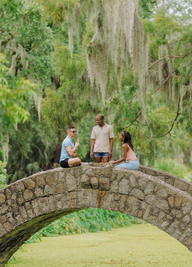 Friends Gather In City Park