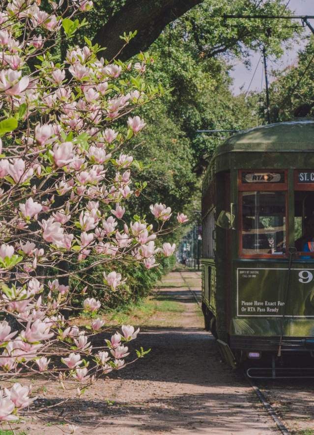 St. Charles Avenue Streetcar