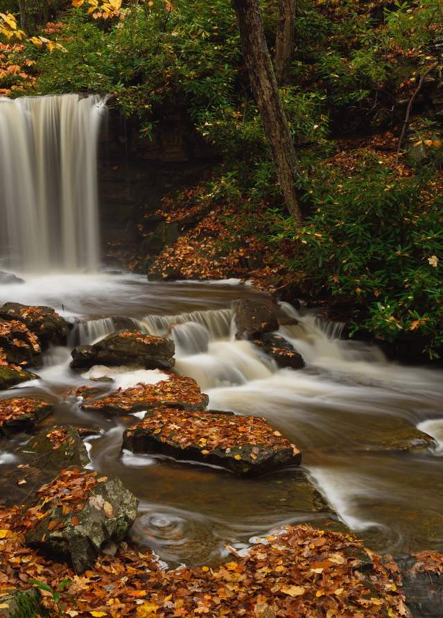 Charlotte Pletcher, Cole Run Falls, Somerset County