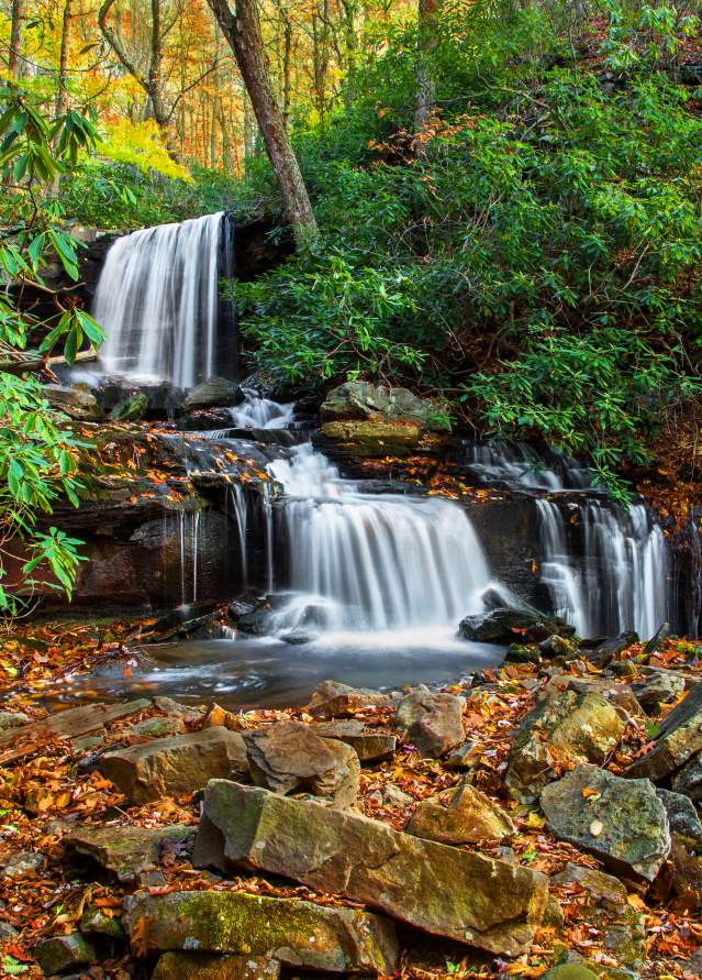 Linda Seanor, Cole Run Fall, Forbes State Forest